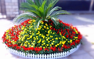 武汉广场租花——广场节日造型花